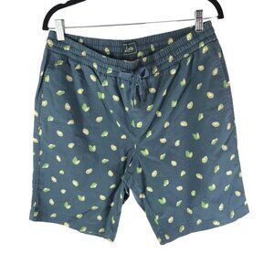 Bixby Nomad Mens Avocado Print Shorts Cotton & Spandex Blend 10" Inseam Size 36